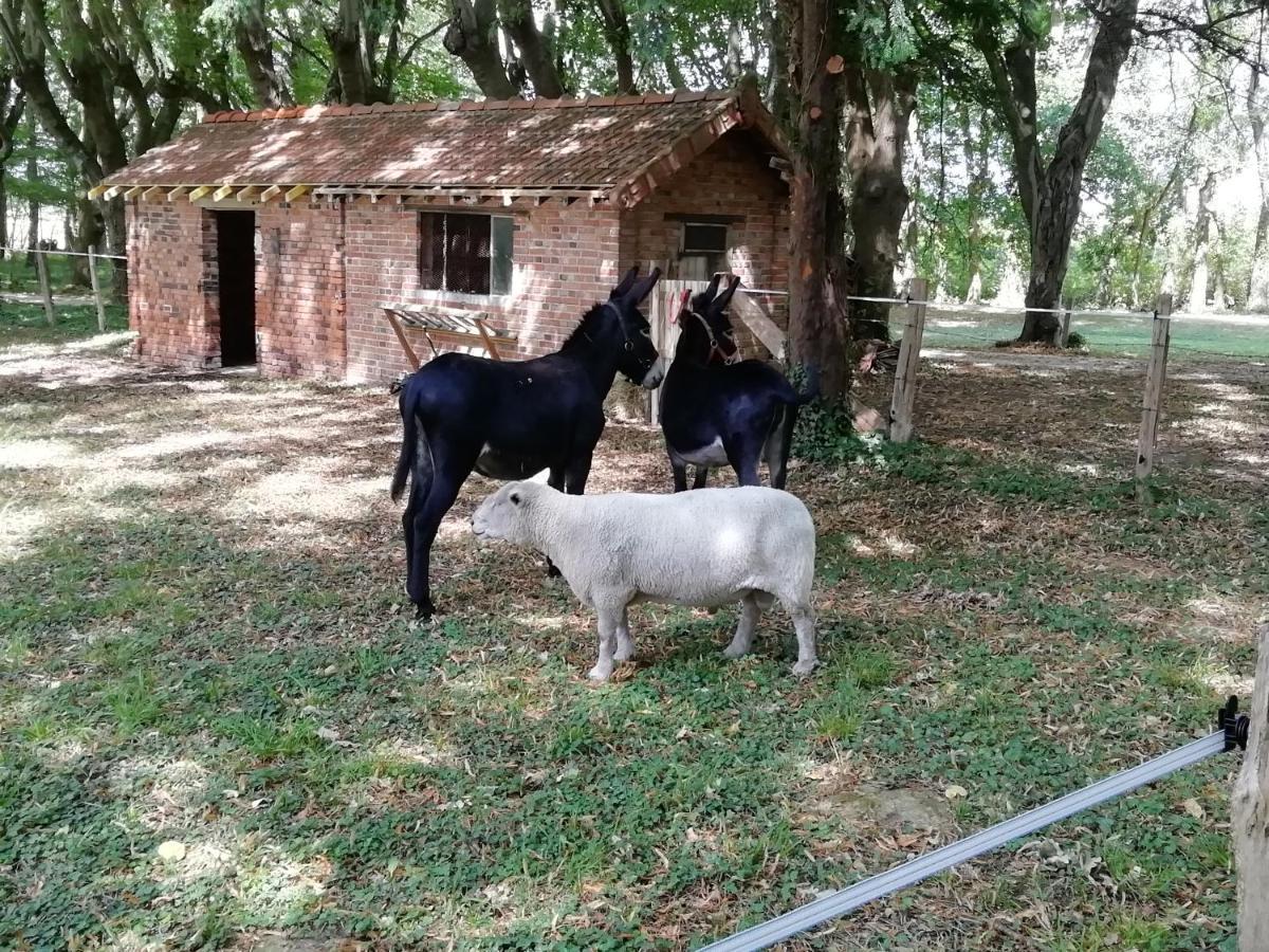 Domaine De La Cote Aux Chats Bed & Breakfast Montieramey