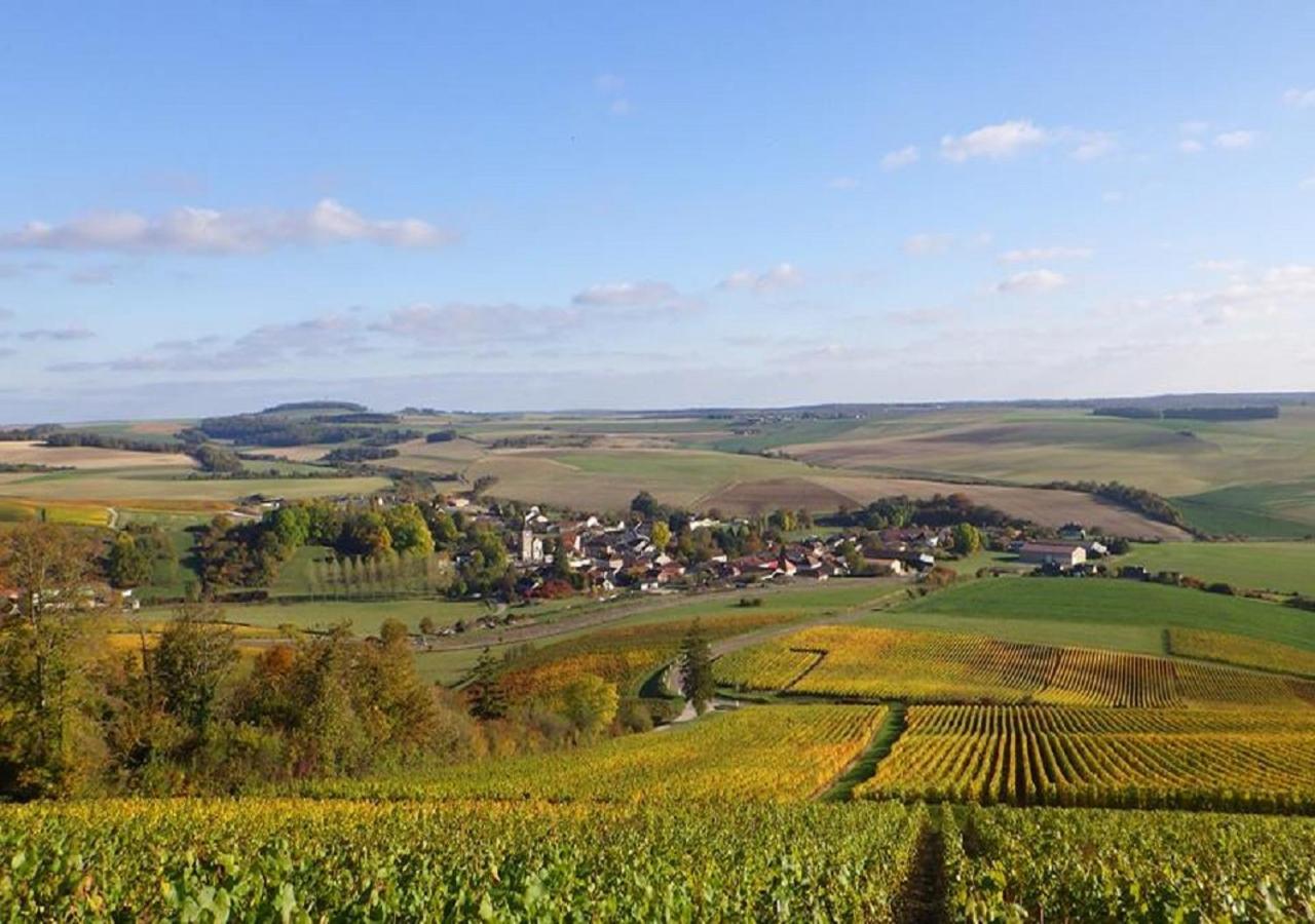 Domaine De La Cote Aux Chats 3* Montieramey