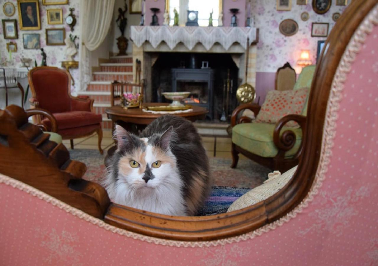 Bed & Breakfast Domaine De La Cote Aux Chats Montieramey