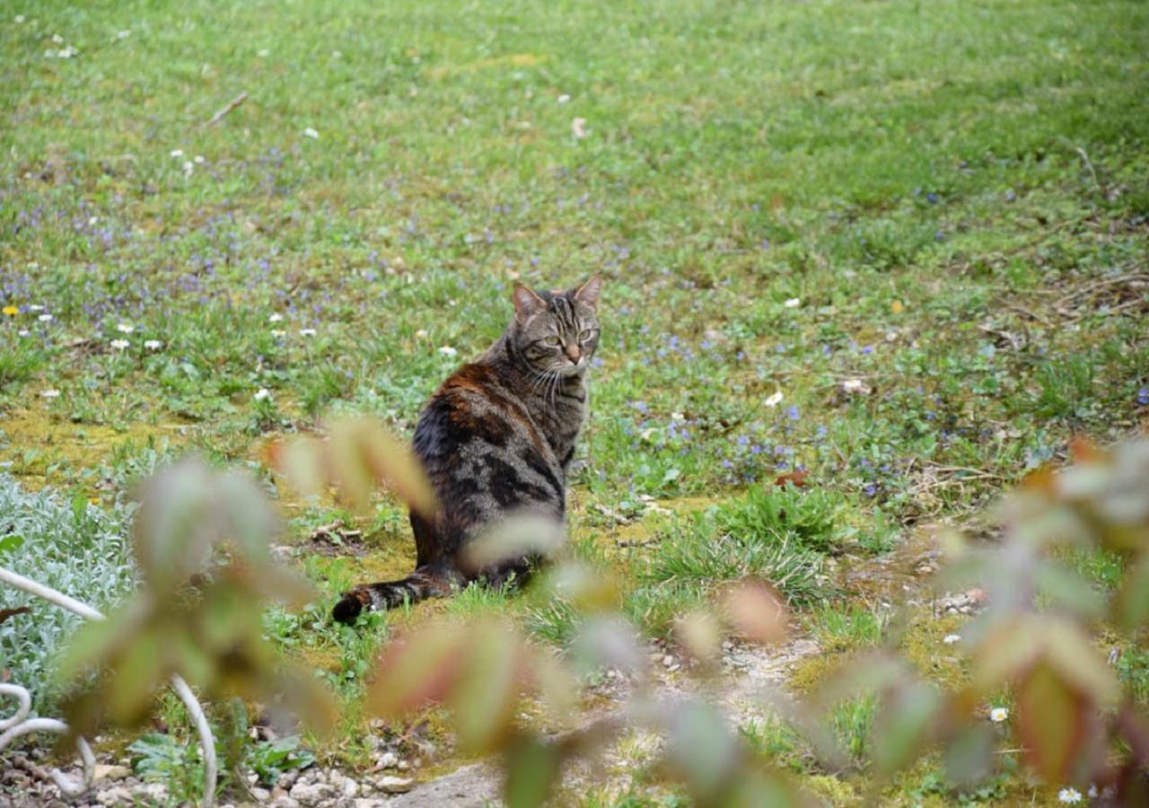 Domaine De La Cote Aux Chats Bed & Breakfast 3*