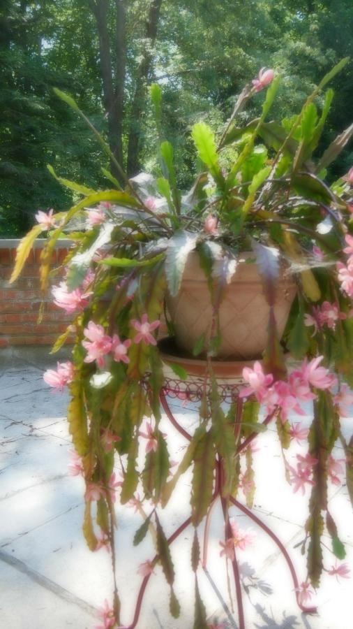 Bed & Breakfast Domaine De La Cote Aux Chats 3*