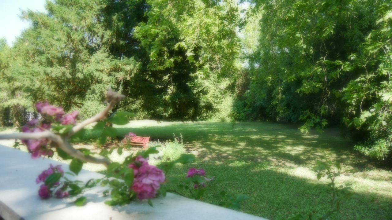 Domaine De La Cote Aux Chats Bed & Breakfast Montieramey